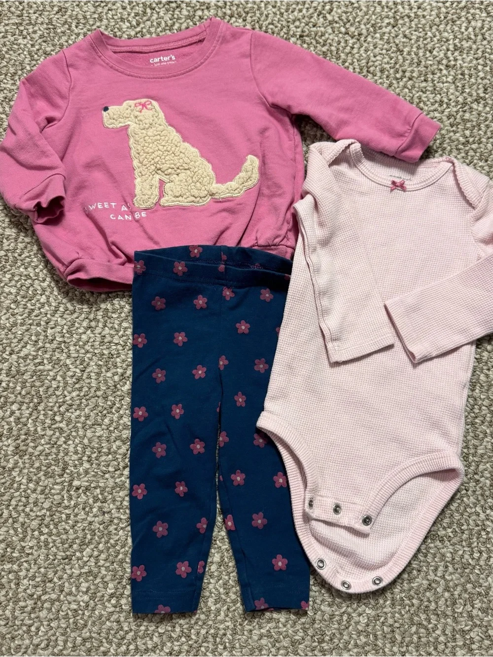 Carter's Girl 3pc Lot Puppy Sweatshirt Thermal Bodysuit Floral Legging 9 Months